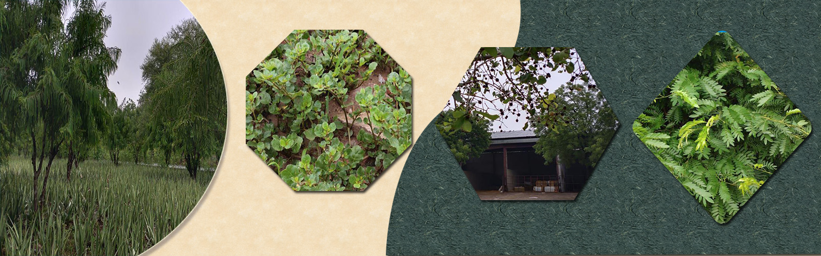 Neurosurgeon in Jaipur